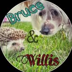 Bruce & Willis - @bruce_willis_the_cousins - Instagram