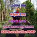 Bruce Covillez Pmkp - Facebook
