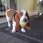 Bruce Craft - @bigsnout1 - Instagram