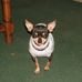 Bruce Craft - Facebook