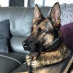Me&BruceCrafts - @meandbrucecrafts - Instagram