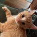 Bruce Cram - Facebook