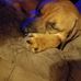Bruce Cram - Facebook