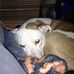 Bruce Richard - Facebook