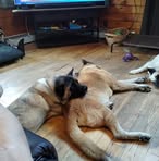 Bruce Cramer - Facebook