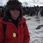 Bruce Curry - @brucecurry11 - Instagram