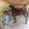 Bruce Cutting - @bruce.cutting - TikTok