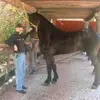 bruceacutting - @bruceacutting - TikTok