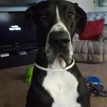 Bruce Smith - @bruce__dane - Instagram