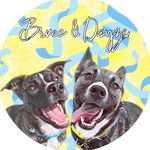 Bruce 🦈 and Dayze 🌻 - @bruce.dayze - Instagram