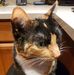 Bruce S. DeFord - Facebook