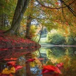 Bruce Dennis - @crankie1961 - Instagram
