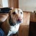Dennis Bruce - Facebook