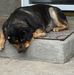 Bruce Derksen - Facebook