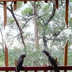 Bruce Dewar - @dewar.bruce - Instagram