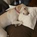 Bruce Dewey - Facebook