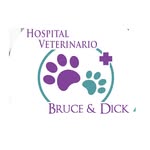 Hospital Veterinario Bruce & Dick - @hospital.veterinario.brucedick - Instagram