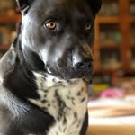 Bruce Douglas - @bruce.douglas.9615 - Instagram