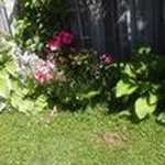 Bruce Dow - @bruce.dow.560 - Instagram