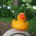 Bruce Duckworth - Facebook