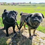 Bruce And Dudley - @itsbruceanddudley - Instagram