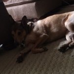 Bruce Dunaway - @brucedun111 - Instagram