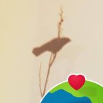 Bruce Becker - @bruce.becker9 - Instagram