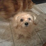 Bruce Becker - @bruce.becker.52643 - Instagram