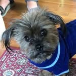 Bruce Edward - @bruceedwardrush - Instagram