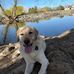 Bruce Englert - Facebook