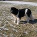 Bruce Ensor - Facebook