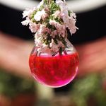 Bruce Erwin - @bruce.erwin28 - Instagram
