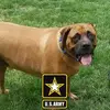 Bruce Erwin - @bruce.erwin - TikTok