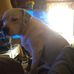Bruce Erwin - Facebook