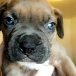Bruce Everett - @everettbruce - Instagram