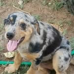 Bruce Everett - @bruce.everett.9404 - Instagram