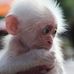 Bruce Ewert - Facebook