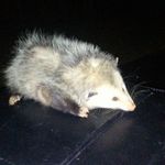Bruce Farmer - @bruce.farmer.545 - Instagram