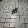 Bruce Farmer - @brucefarmer47 - TikTok