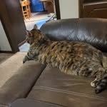 Bruce Farmer - @brucefarmer85 - Instagram