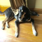 Bruce Fields - @brucefields1651 - Instagram