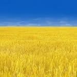 Bruce Fields - @bruce.fields.16 - Instagram
