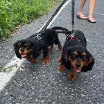 Bruce And Finny - @bruce_finny - Instagram