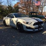 Bruce Fitzgerald - @bruce.fitzgerald.397 - Instagram