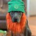 Bruce Fitzgerald - Facebook