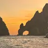 BRUCE FLOWERS - @bruce.flowers4 - TikTok