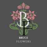 tanaman mawar murah - @bruce_flowersssss - Instagram