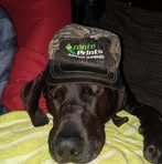 Bruce Foote - Facebook