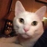Bruce Foote - @brucefoote - Instagram