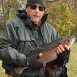 Bruce Foote - @bf5971 - Instagram